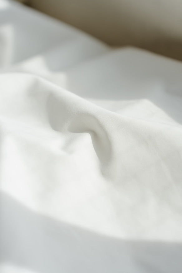 Ruffle sleeve shirt dress(White)