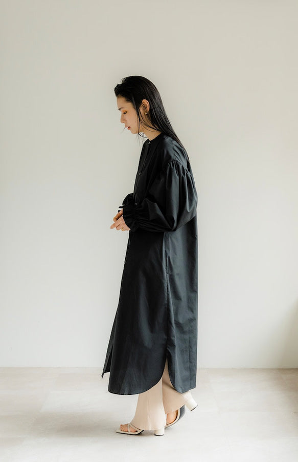 Ruffle sleeve shirt dress（Black）