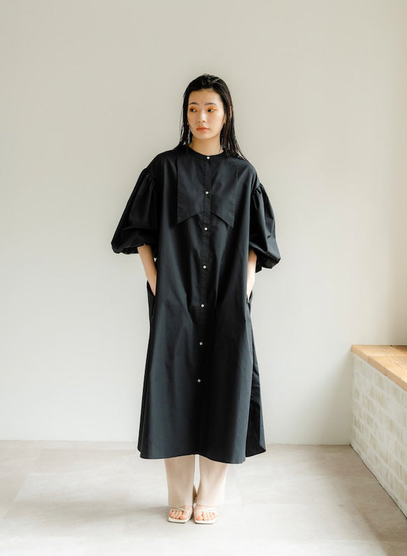Ruffle sleeve shirt dress（Black）